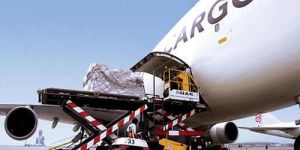 Air Courier Services