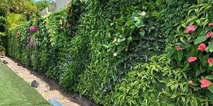 Vertical Garden Landscaping Services