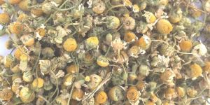 Dried Chamomile Flower