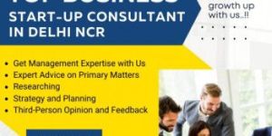 Business Start up Consultant