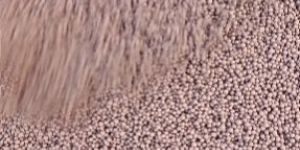 Bentonite Clay Cat Litter