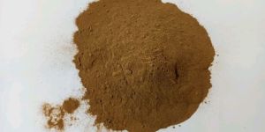 Shatavari Powder