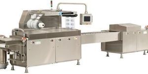 Horizontal Flow Wrap Machine