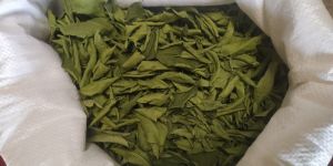 Dehydrated Lemon Leaves