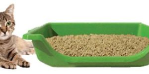 Cat Litter
