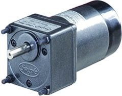 12 Watt FHP Induction Motor