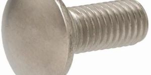 SS Carriage Bolt