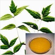 Neem Oil ( Cold Pressed)