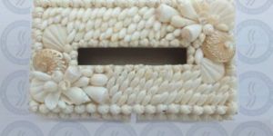 Seashell Tissue Holder