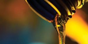 Marine Engine Oil