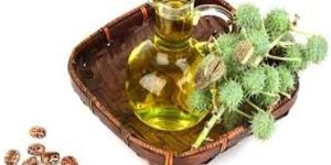 Castor Oil
