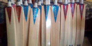 Tennis Ball Lightweight Cricket Bat