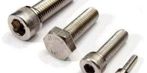 Stainless Steel Bolt