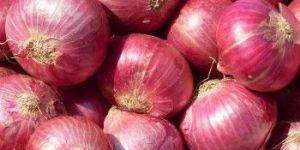Red Onion
