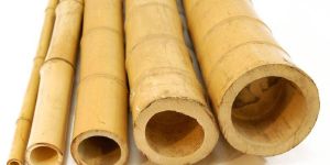 Natural Bamboo Cane
