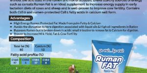 Rumen Bypass Fat