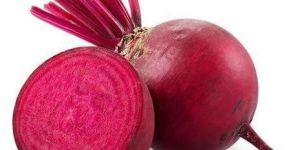 Organic Beetroot