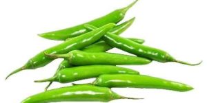 Organic Green Chilli