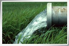 Water Testing Services