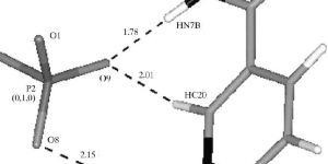 Nicotinamide Nucleoside