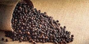 Black Pepper Seeds