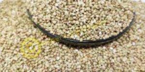 Hulled Buckwheat Seeds