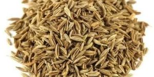 Cumin Seeds