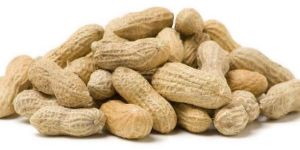 Shelled Peanuts