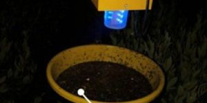 Solar Insect Killer