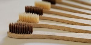 Bamboo Tooth Brush