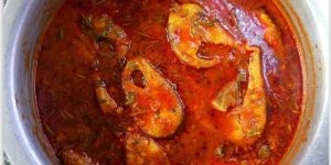 Packaged Andhra Fish Curry