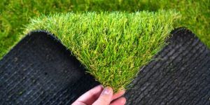 Artificial Grass