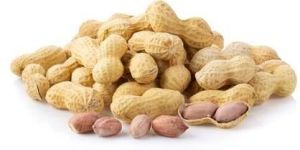 Dry Peanut