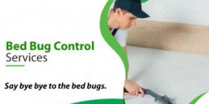 Bed Bug Pest Control Services near Me in Chennai
