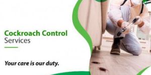 Cockroach Control Services near Me in Chennai