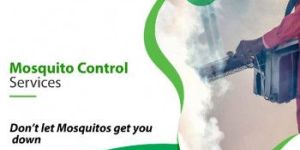 Mosquito Control Services near Me in Chennai