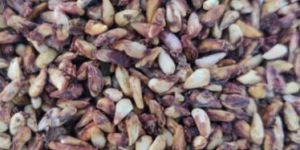 Organic Pomegranate Seed