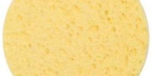 Cleansing Sponge