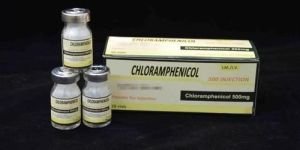 Chloramphenicol Succinate