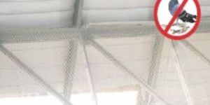 Pigeon Protection Net