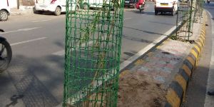 Square Pattern Tree Guard