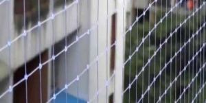 Anti Bird Protection Net