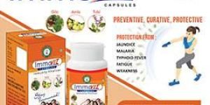 Immovit Immunity Booster Capsules