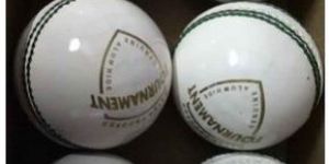 White Leather Cricket Ball