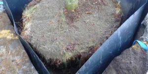 Dupont Root Barrier