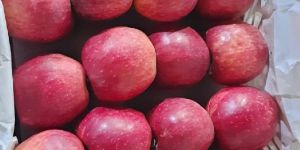 Irani Red Delicious Apples