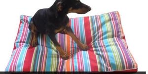 Dog Bed