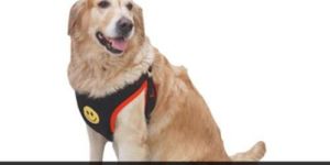 Dog Body Harness