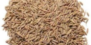Commercial Cumin Seeds