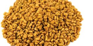 Fenugreek Seeds